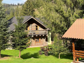 Cabana Daria Arieseni 3